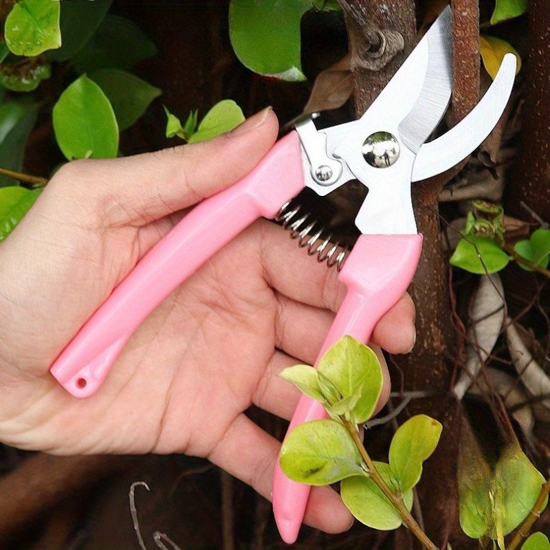 2 Pack Flower Scissors(Pink),  - Pinking Shear Blade 리뷰 및 가격